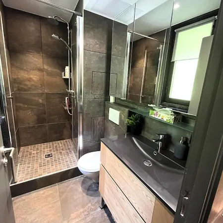 Vega - Renove - Proche Des Pistes Et Des Commerces Mae-2831 Appartement *